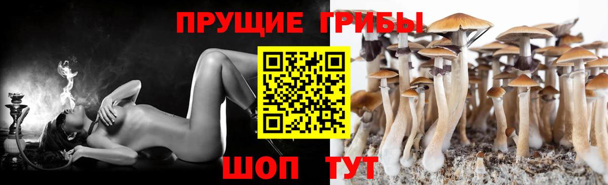 ГАШ  COCAIN  Камышин  Вход с VPN  ТГК  ГАШИШ  Меф МЯУ МЯУ   Бошки Шишки 